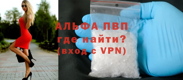 спиды Инсар